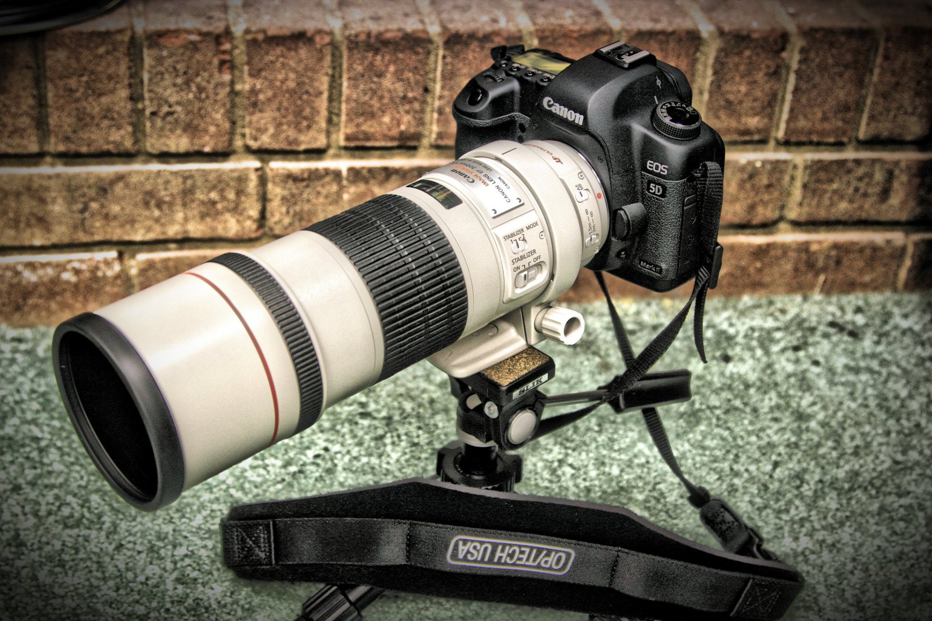 canon 300mm f4 is the camera close up