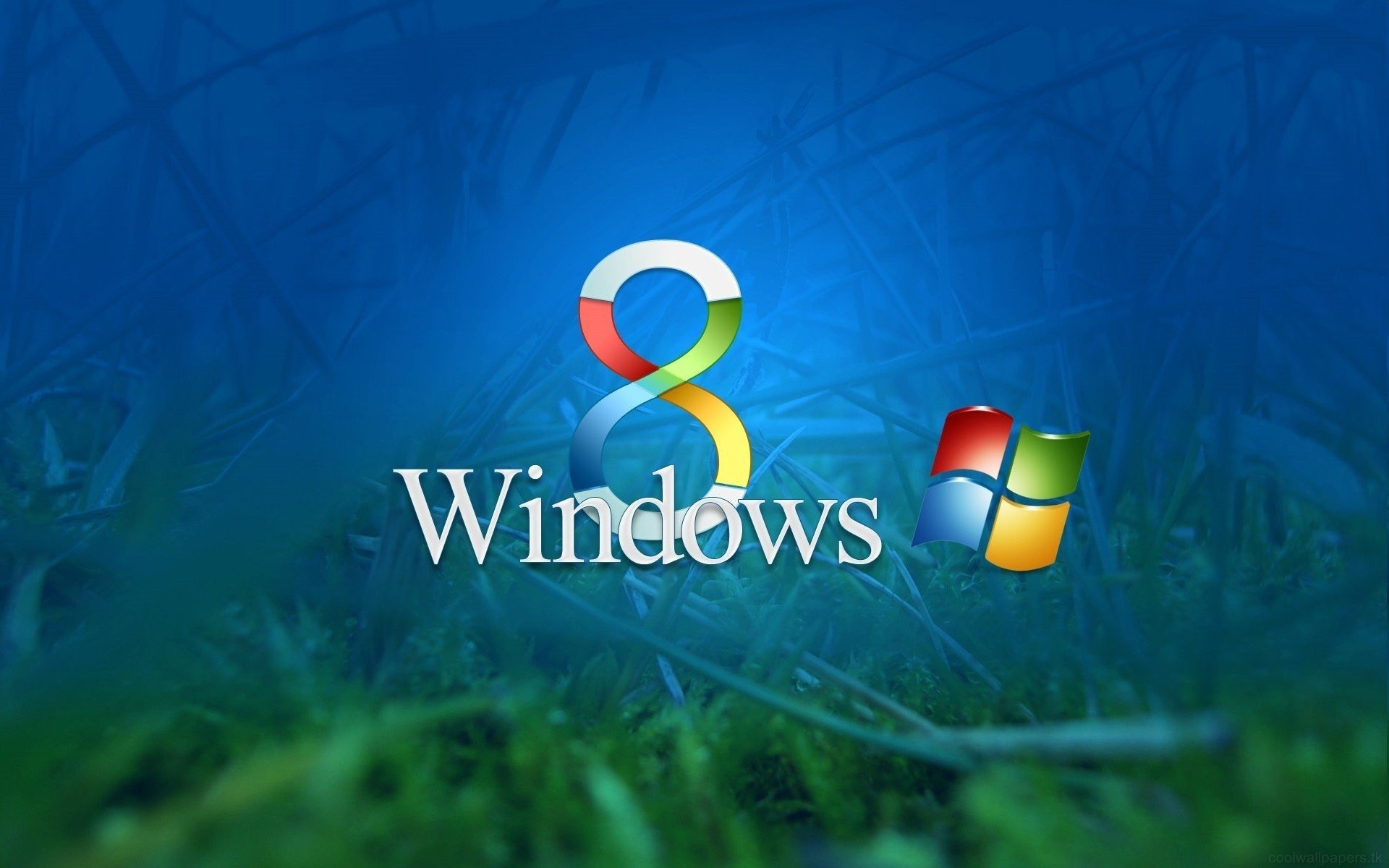 windows 8 ventanas hierba fondo