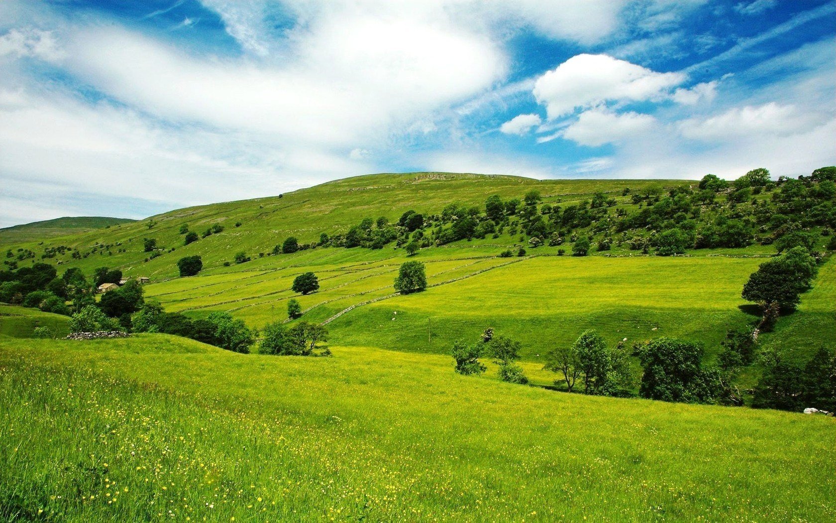 hatki paso flores kulbabs campo colinas follaje esponjoso vegetación cielo montañas árboles paisaje calma nubes hierba arbustos nubes día soleado verde serenidad calma paloma