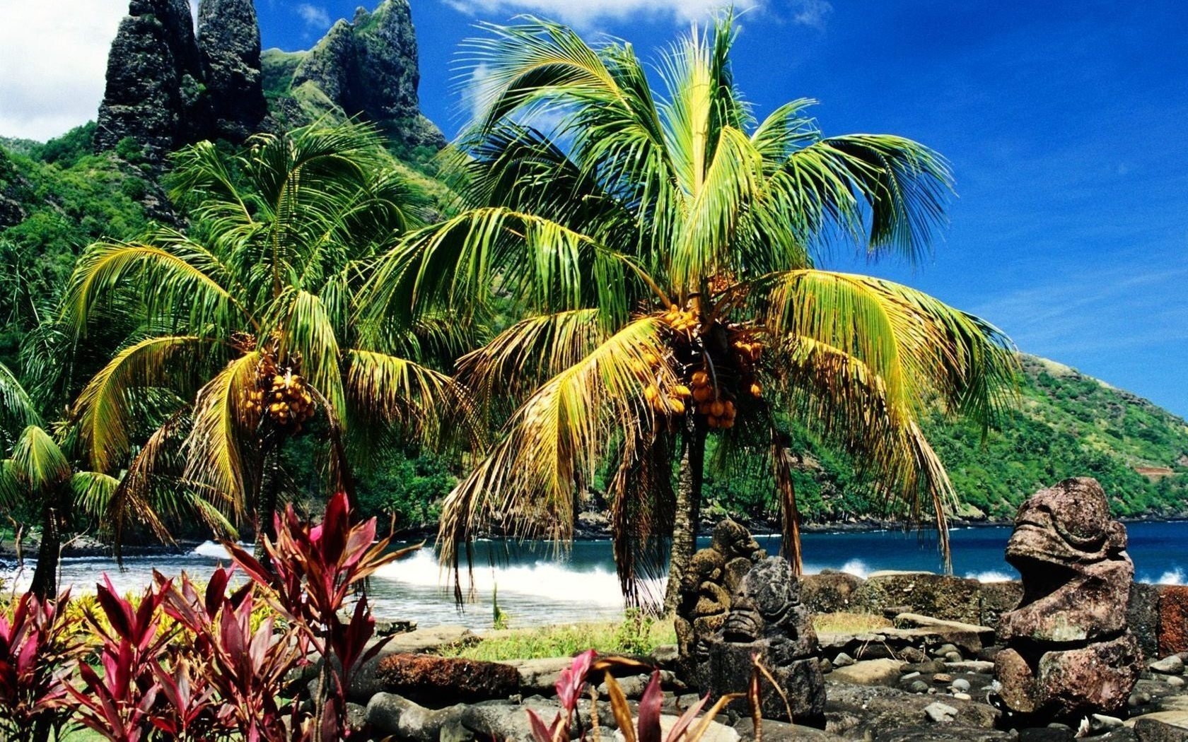 statues de pierre plage branches de palmiers montagnes ciel vagues mer surf côte paysage nature arbres végétation palmiers tropiques rochers