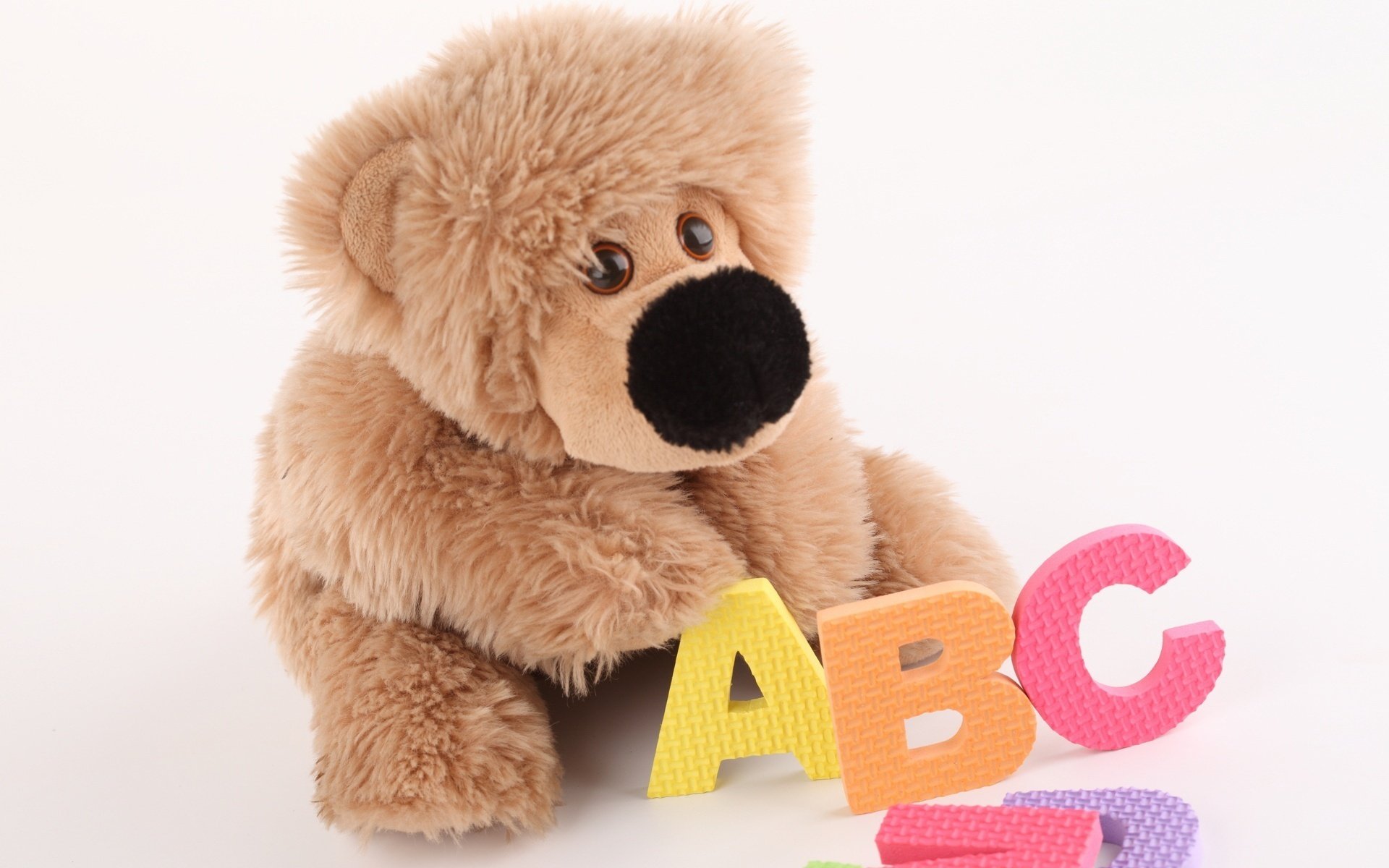 kinderspielzeug stofftier abc spielzeug buchstaben hintergrund nase teddybär augen