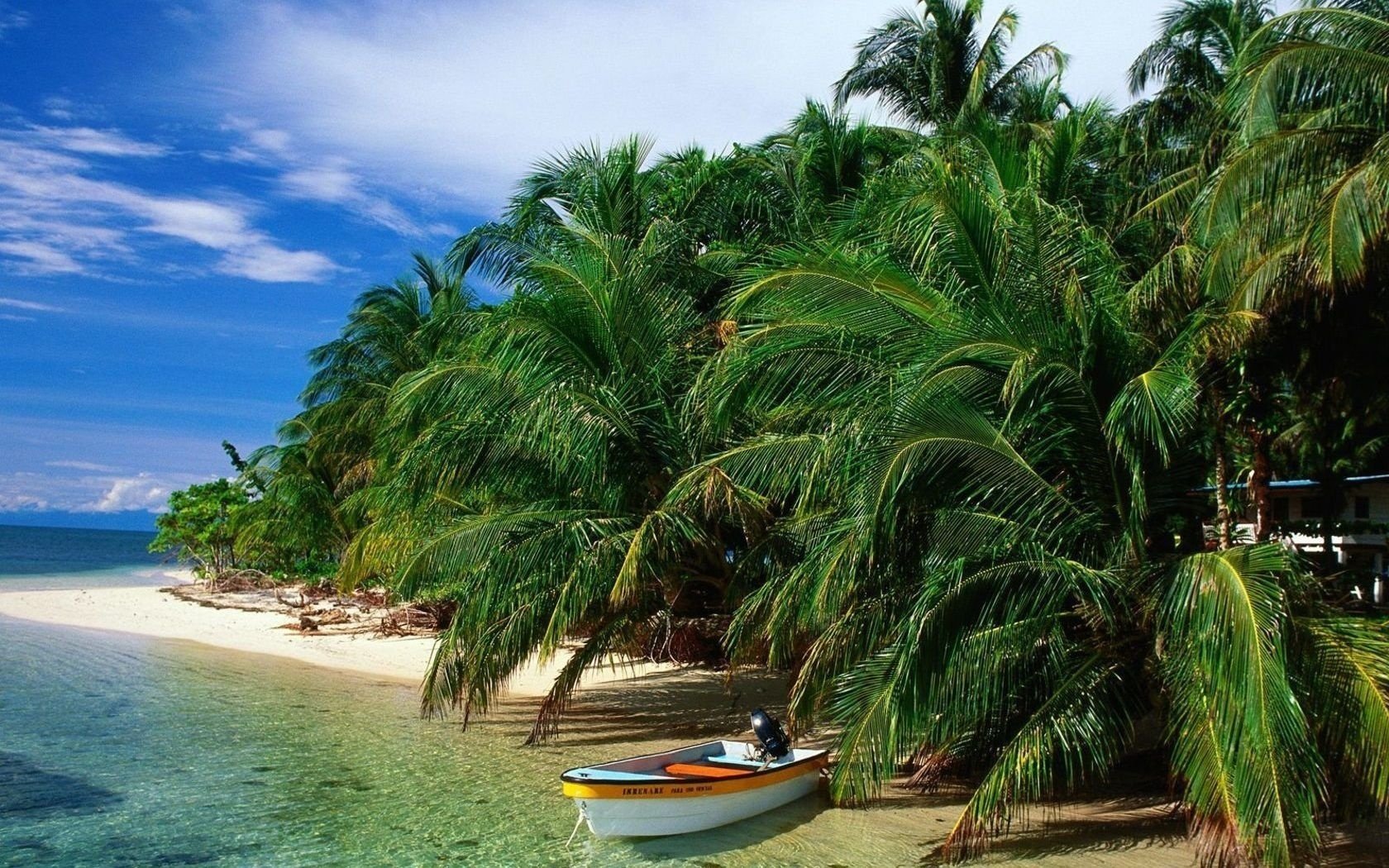 lange zweige boot hütte strand meer wasser sommer sonne hitze stimmung sand ufer himmel