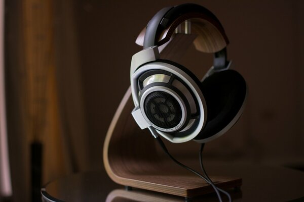 Cuffie sennheser hd800 con supporto