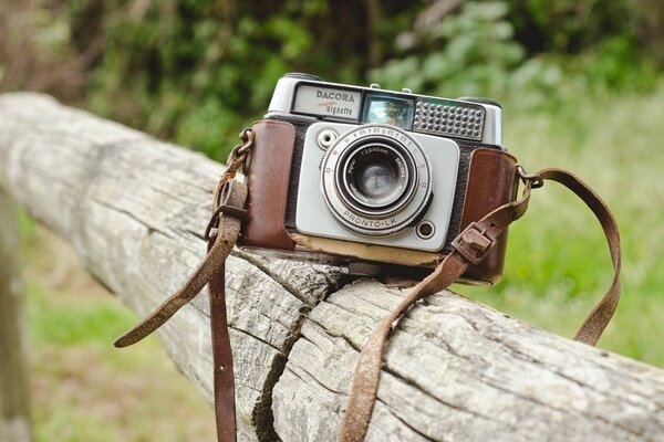 Sfondo perfetto della fotocamera e della natura