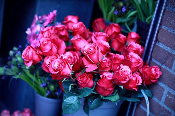 Pink roses in a vase in bouquets