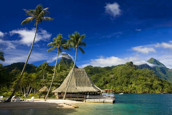 A house made of straw in a paradise on the seashore with palm trees