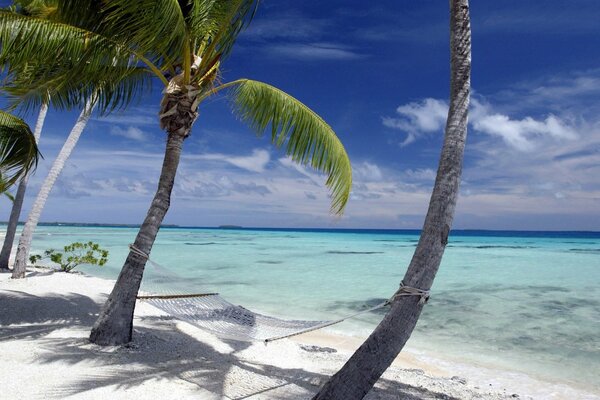 Wonderful rest in a hammock on the shore