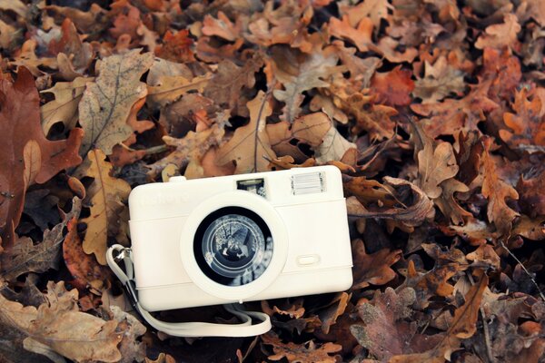 White camera on the background of autumn