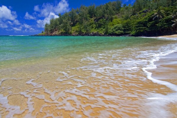 Schiuma sull acqua Vicino alla spiaggia di sabbia