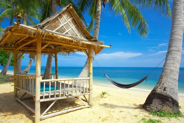 Casa vacanze con tetto di paglia tra palme e onde del mare