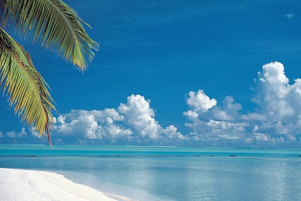 Landscape of the sea surface and white sand