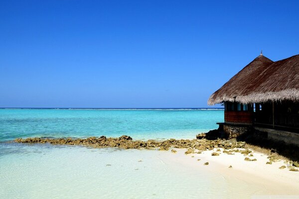 Casa de paja en una playa tropical