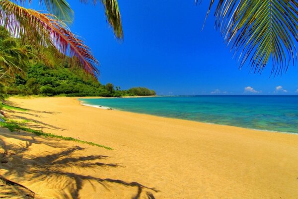 Yellow tropical sand by the sea