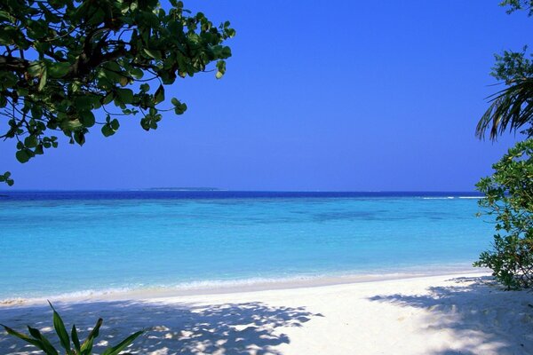 Dazzling white sand on a beautiful beach