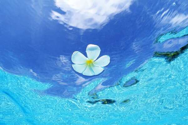 Reflection of the beautiful and blue sky