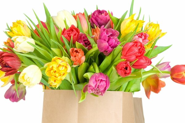 Tulipanes multicolores en una bolsa de papel