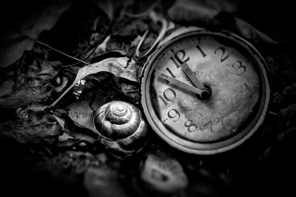 Foto de un reloj antiguo en un filtro en blanco y negro