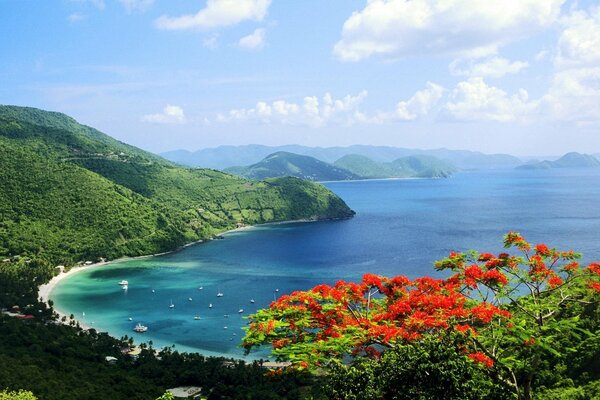 Hermosa vista de la bahía del mar