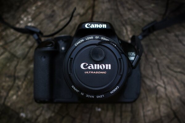 Una cámara canon con lente descansa sobre un árbol