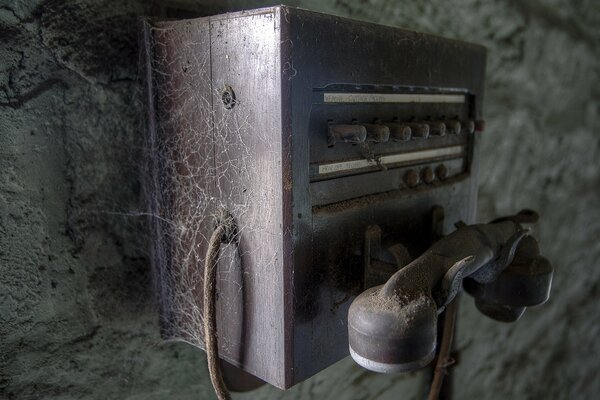 Vecchio telefono coperto di ragnatele