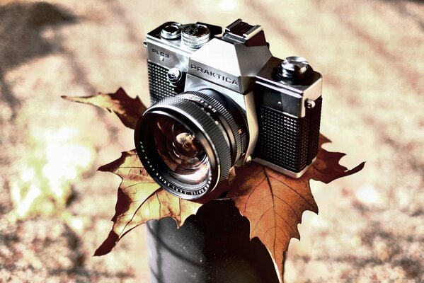 Camera on the background of a maple leaf