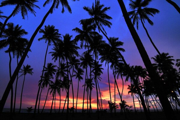 Farbiger Sonnenuntergang in tropischen Ländern