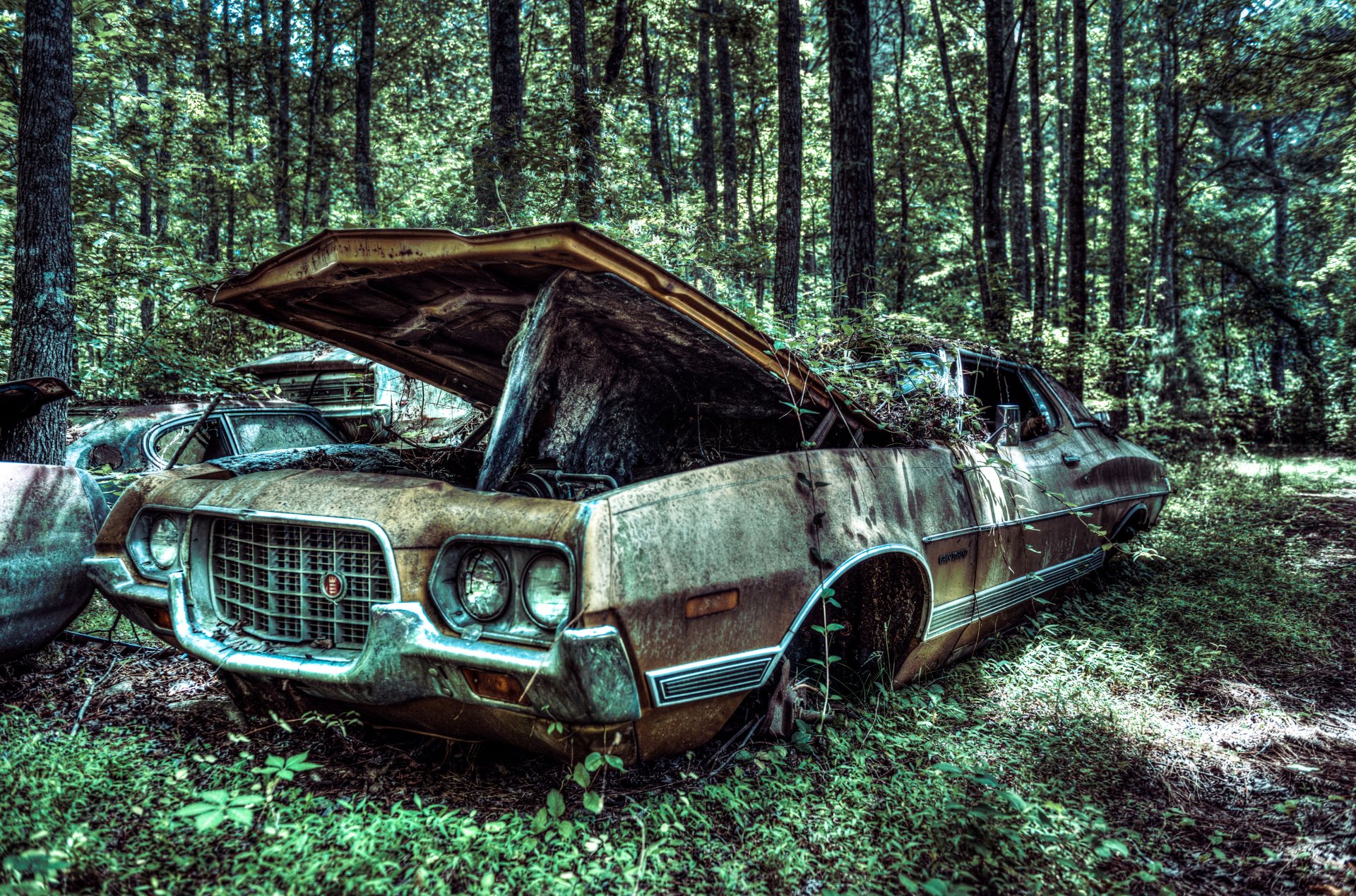 ford gran torino vitesse 1972 vieille voiture bois forêt voiture gran torino voiture vieux géorgie usa