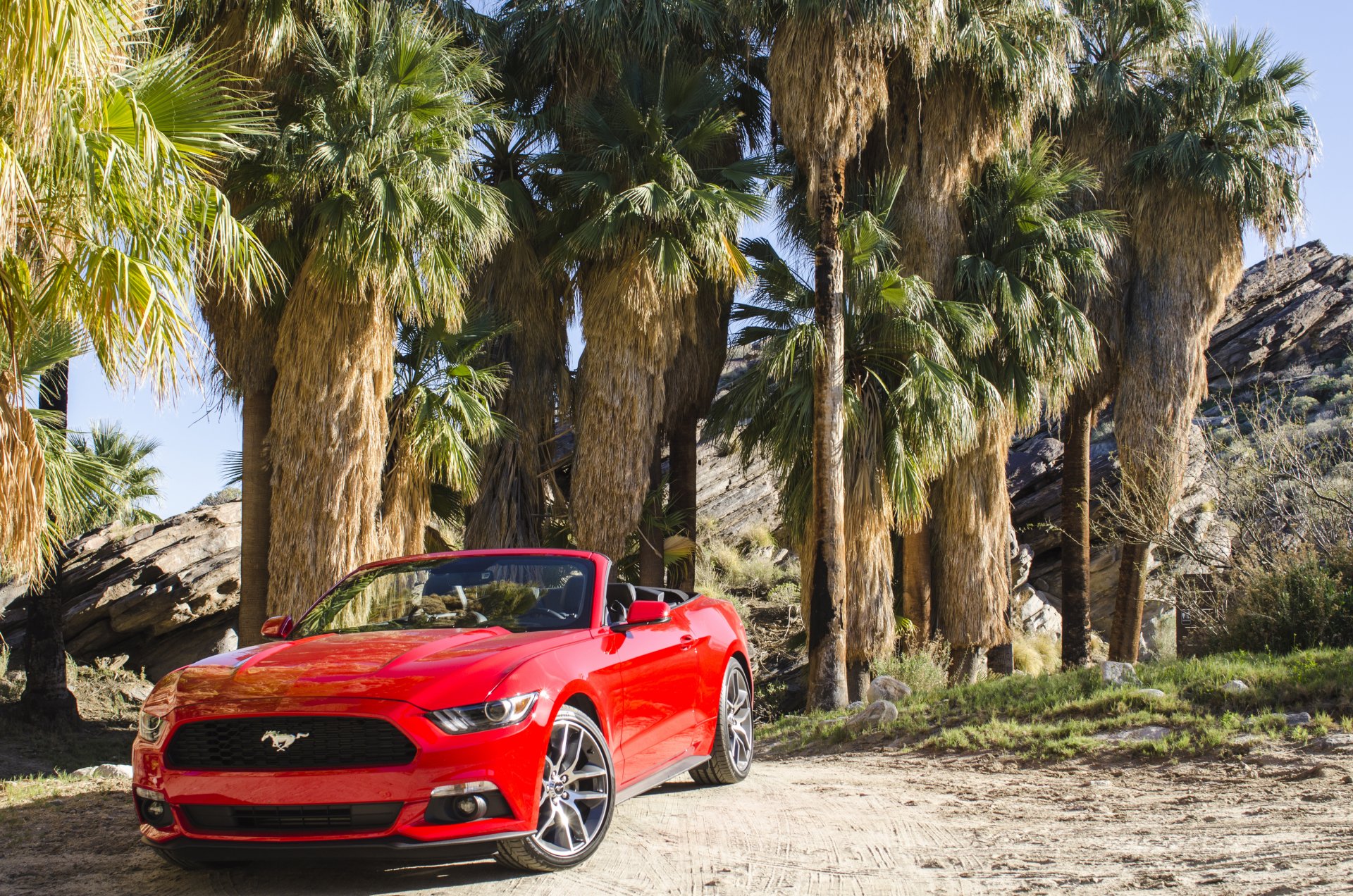 2014 ford mustang convertibile