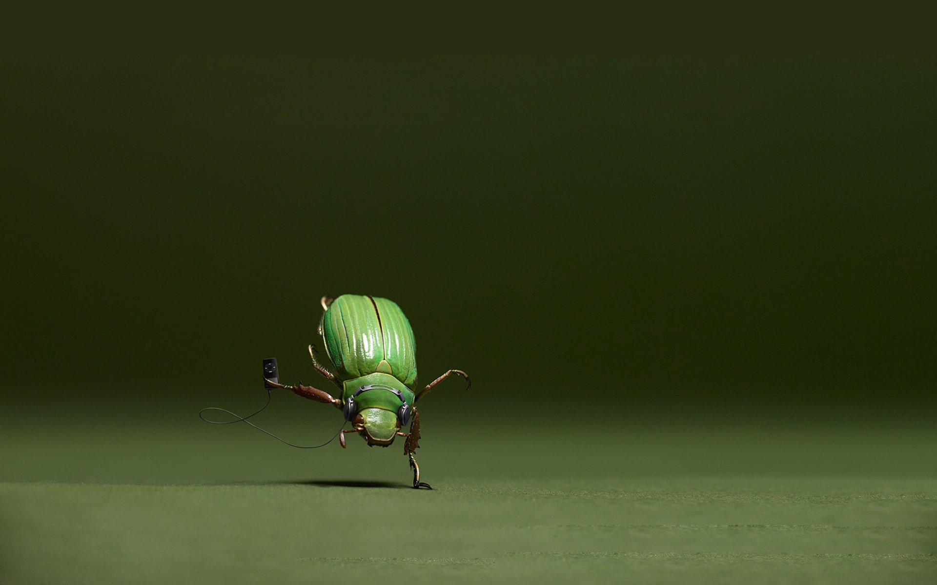 escarabajo verde danza fondo jugador género creativo animales diversión insectos