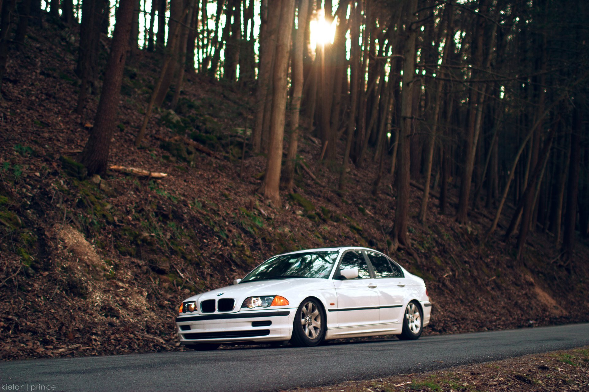 bmw e46 323i bmw seria 3 las drzewa droga biała