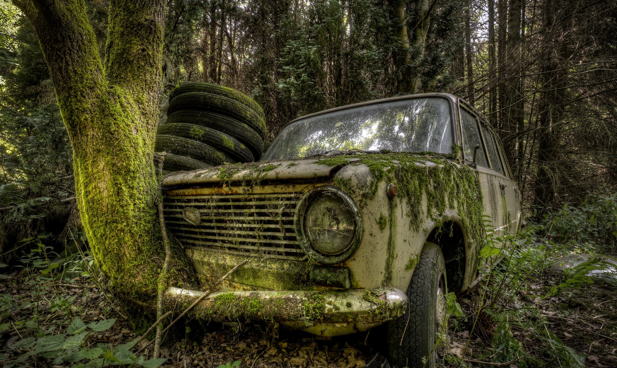 machine lada moss scrap