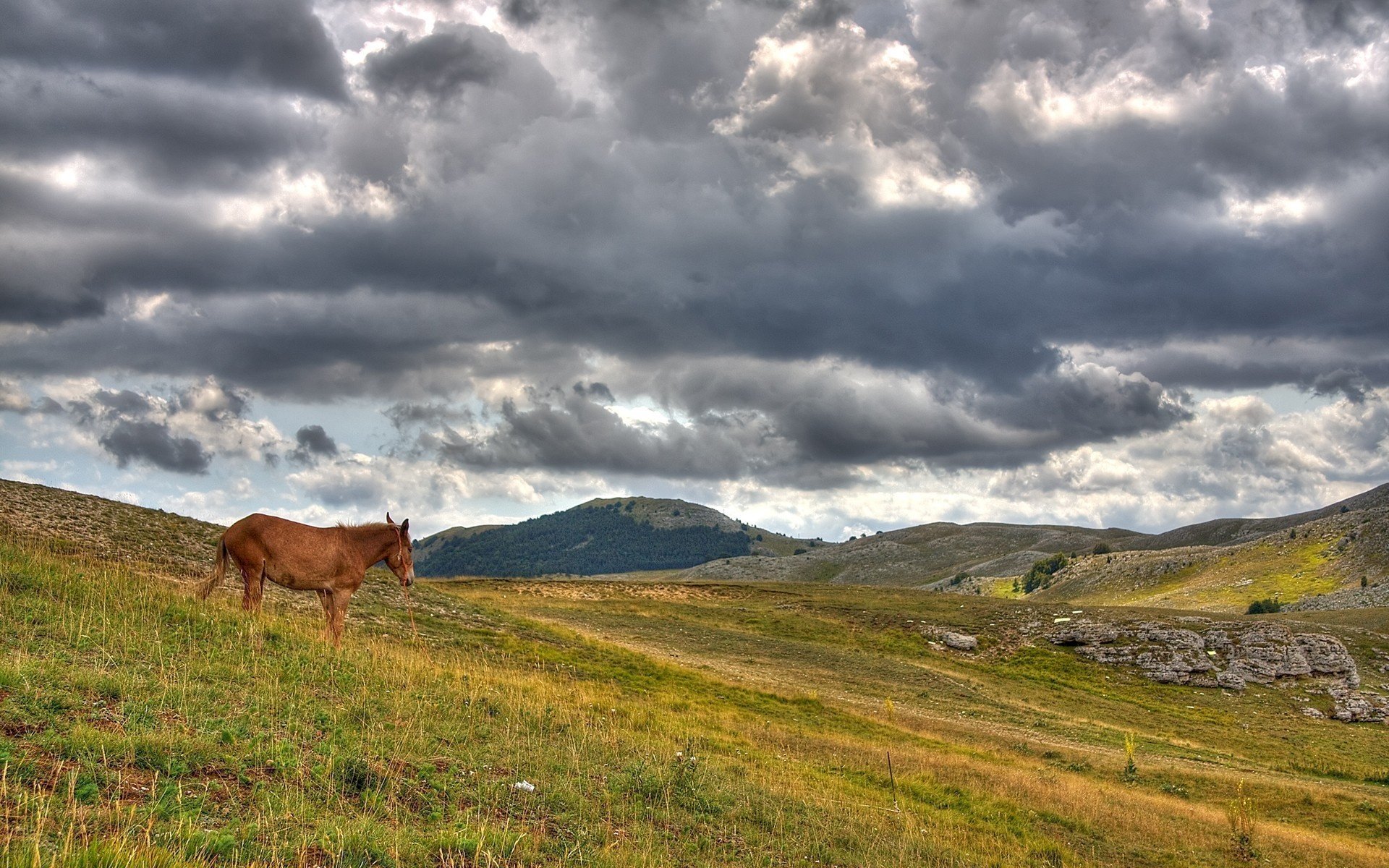 nuages monticules cheval ongulés montagnes ciel