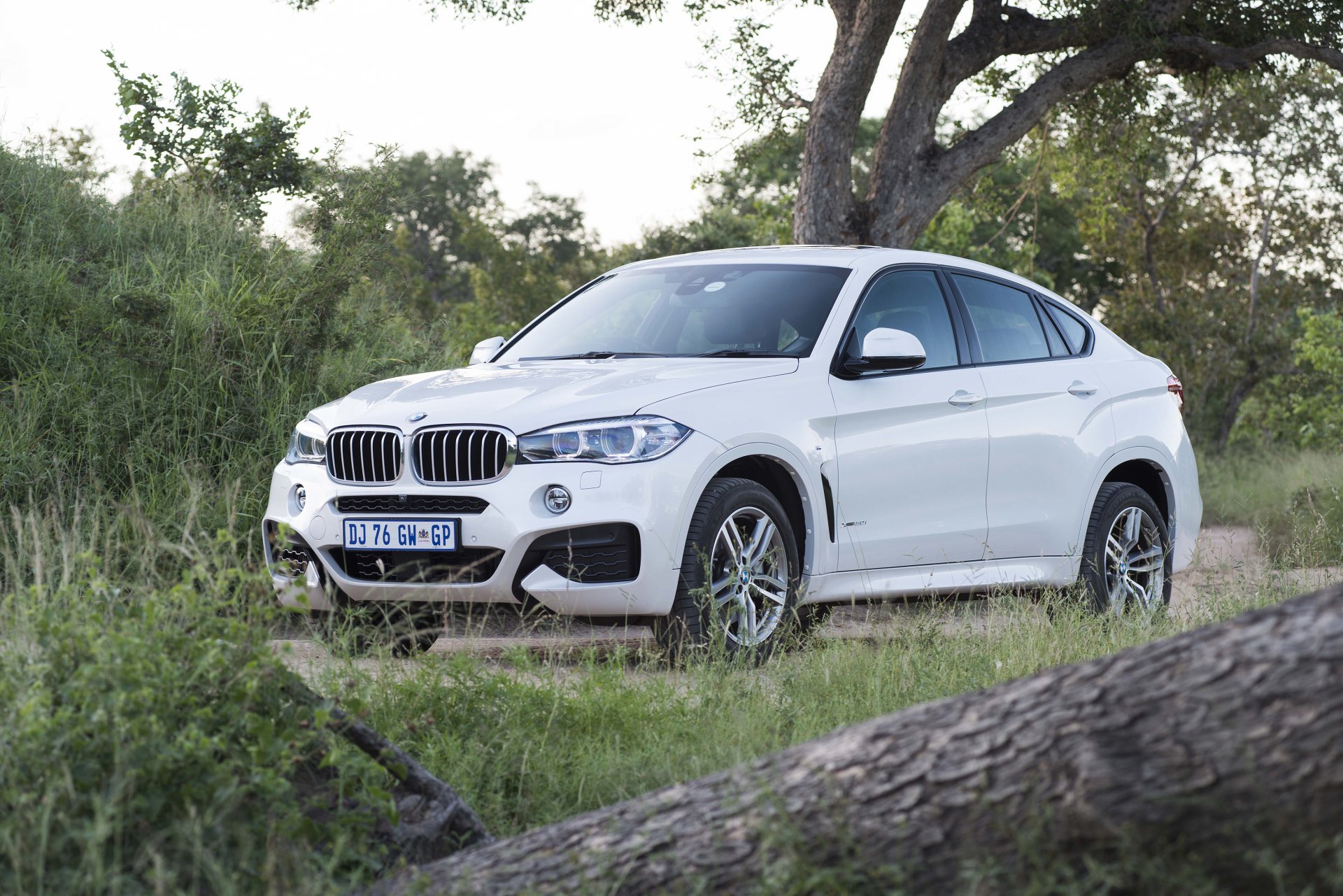 2015 bmw x6 trazione integrale m pacchetto sport za-spec f16 bmw