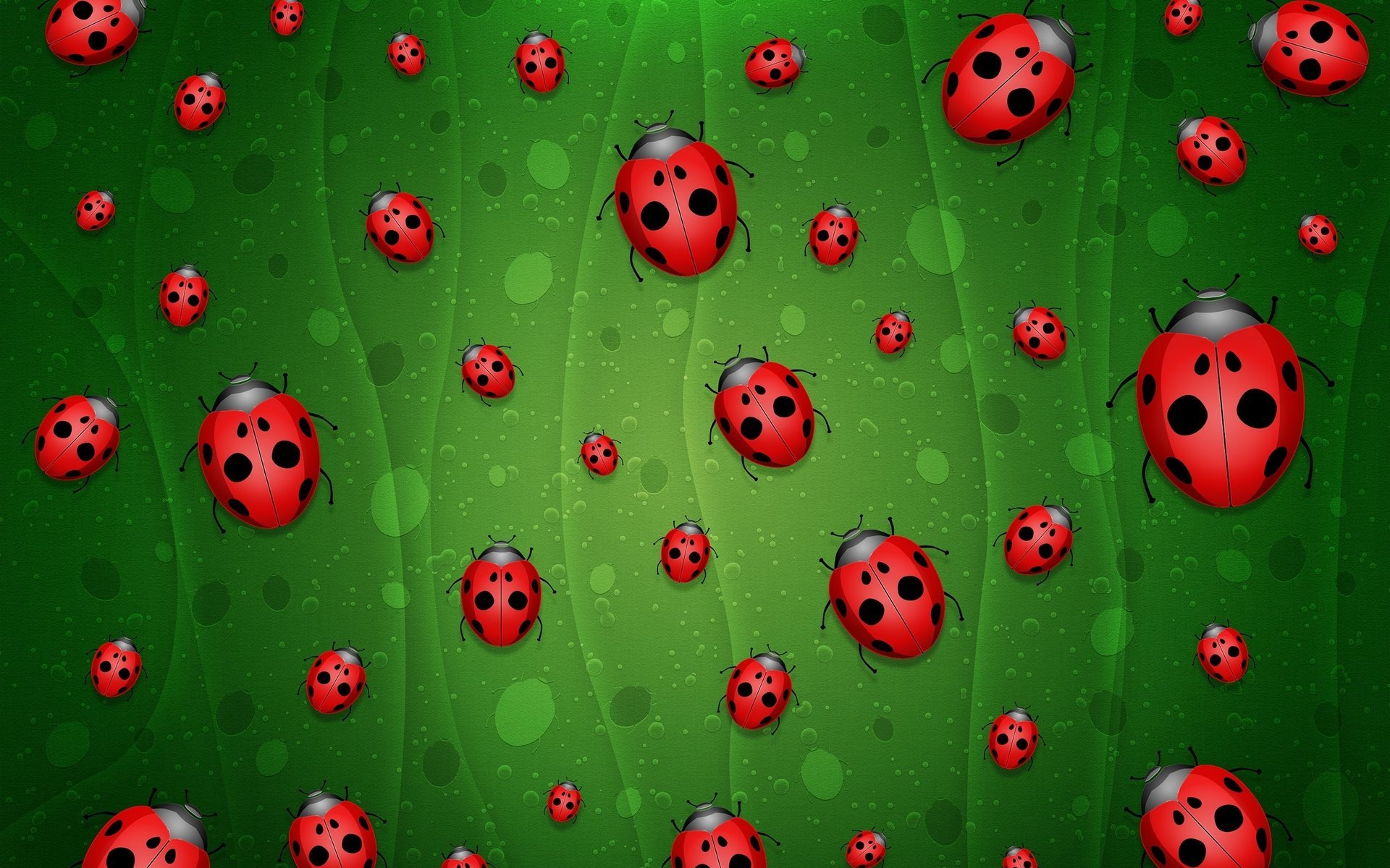 ladybugs green background collage insects figure drawings anime