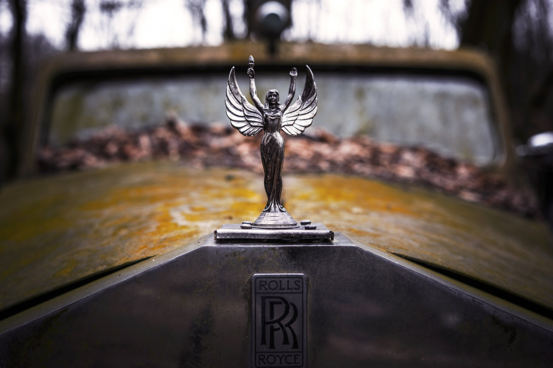 emblemat tabliczka znamionowa rolls royce kaptur retro stary zardzewiały