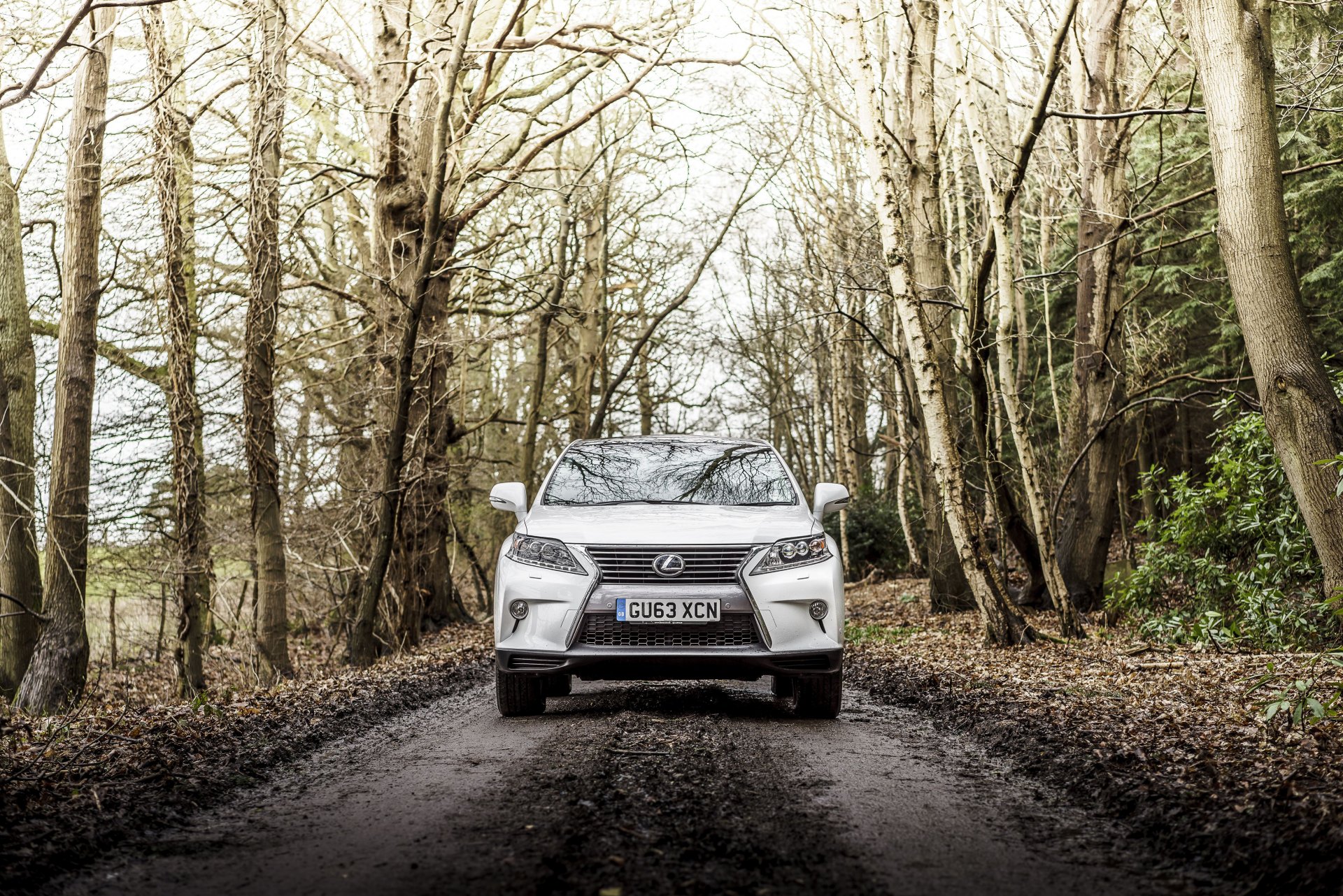 2012 lexus rx 450h f-sport royaume-uni-spec lexus forêt route