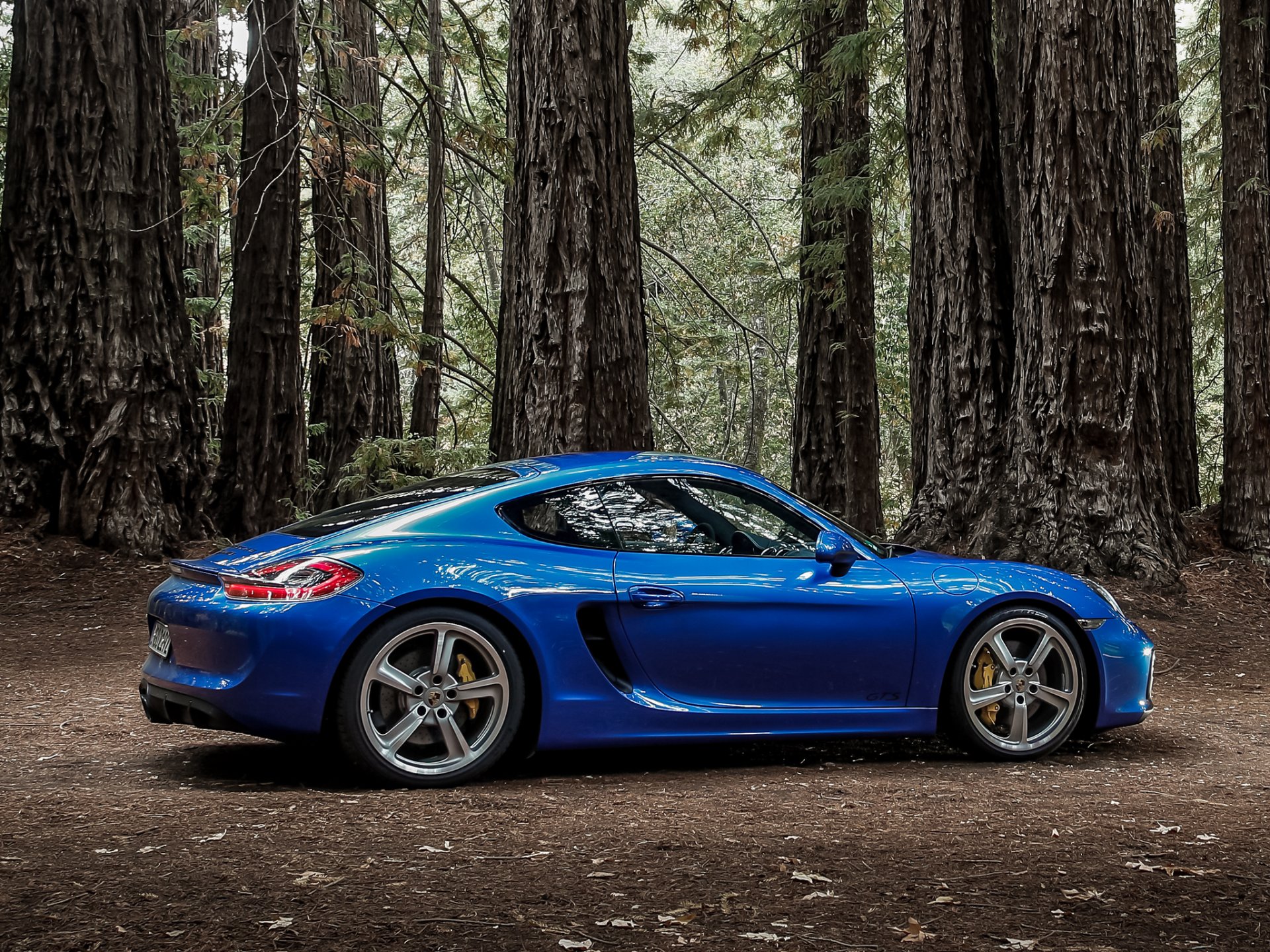 2014 porsche cayman gts porsche caimán