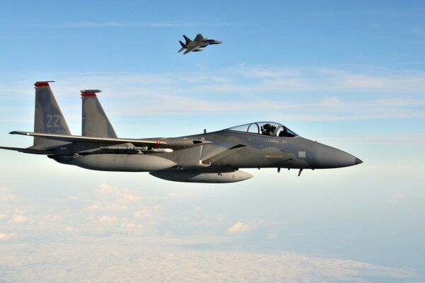 Dos aviones de combate vuelan en el cielo