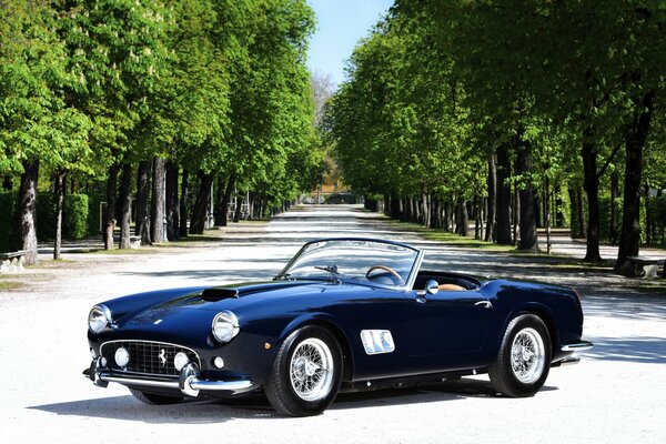 Раритетная машина ferrari 250 gt синяя