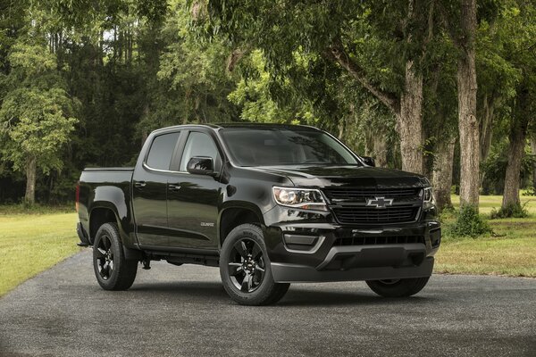 In einem Wald im Halbdunkel eines Chevrolet colorado