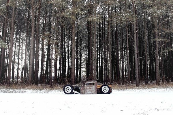 Voiture inhabituelle se trouve près de la forêt