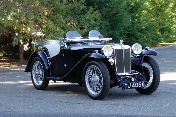 Voiture de police Vintage sur fond d arbres