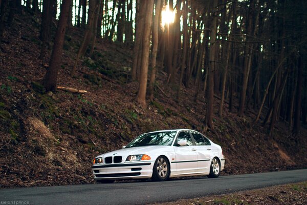 BMW serie 3 blanco contra los árboles