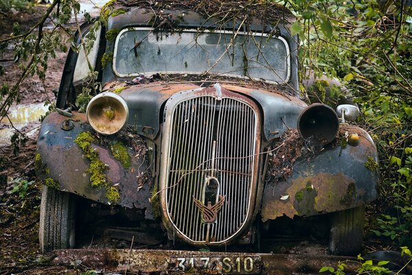 Viejo coche clásico en los matorrales