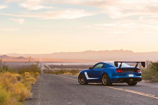 Voiture Ford Mustang sur la route