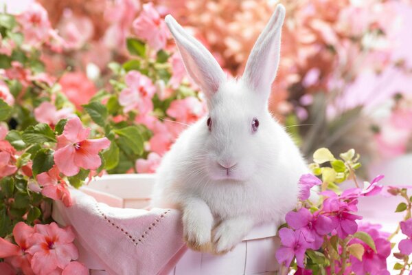 White rabbit with long ears on a background of flowers