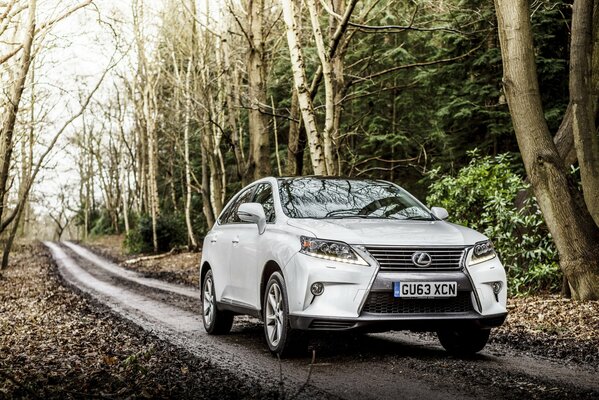 Lexus rx 450h 2012 blanc