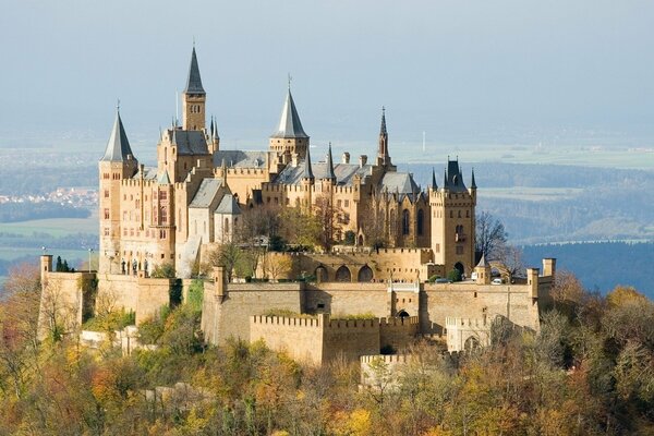 A beautiful castle on a mountain in the middle of a forest