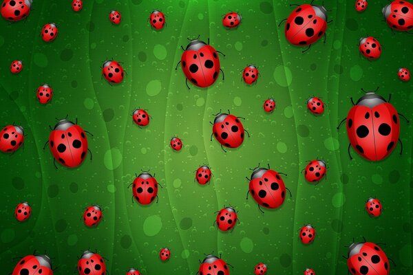 Beaucoup de coccinelles de taille différente sur fond vert