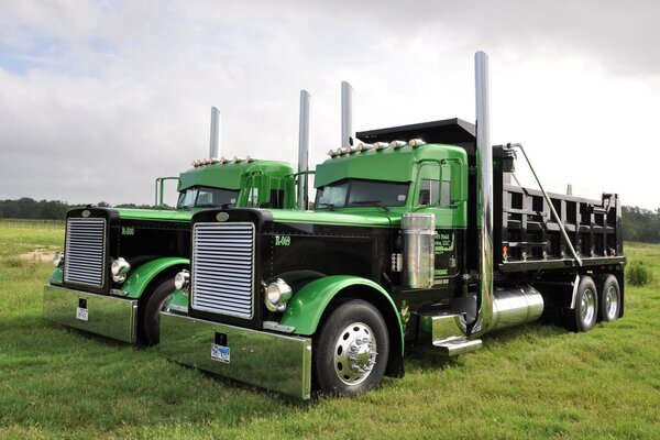 Camión peterbilt con frente cromado